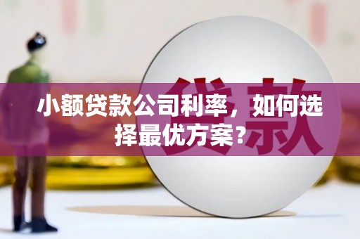 屯门小额贷款公司利率，如何选择最优方案？