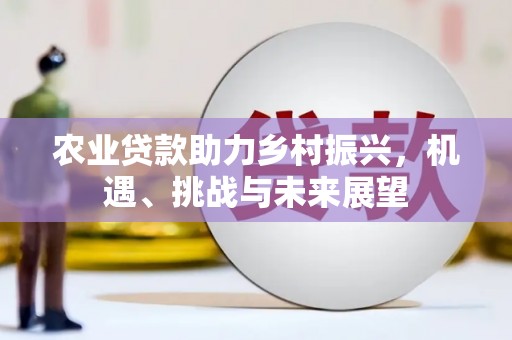 屯门农业贷款助力乡村振兴，机遇、挑战与未来展望