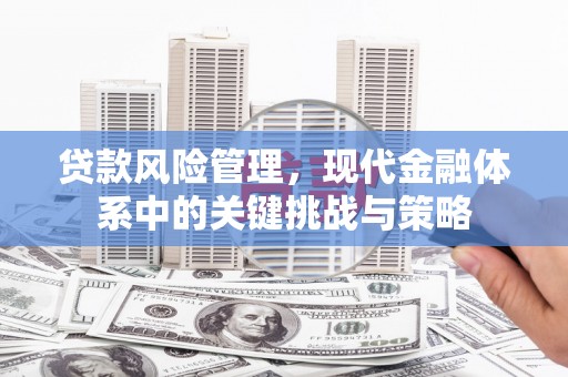 屯门贷款风险管理，现代金融体系中的关键挑战与策略