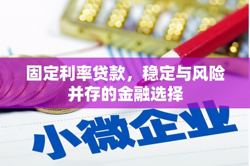 屯门固定利率贷款，稳定与风险并存的金融选择