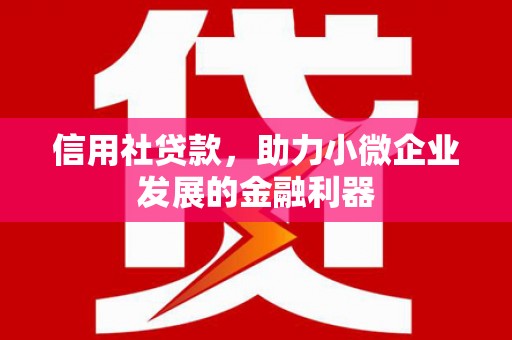 屯门信用社贷款，助力小微企业发展的金融利器