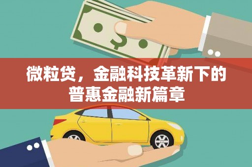 屯门微粒贷，金融科技革新下的普惠金融新篇章