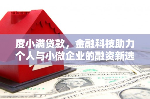 屯门度小满贷款，金融科技助力个人与小微企业的融资新选择