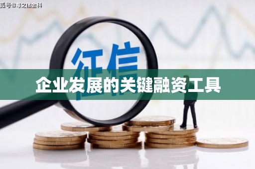 屯门企业发展的关键融资工具