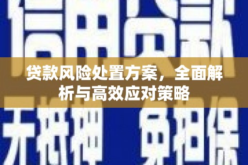 屯门贷款风险处置方案，全面解析与高效应对策略