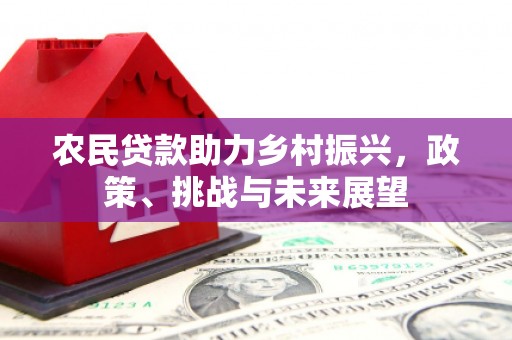 屯门农民贷款助力乡村振兴，政策、挑战与未来展望