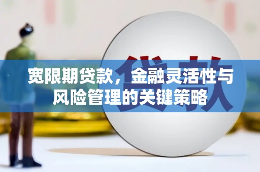 屯门宽限期贷款，金融灵活性与风险管理的关键策略