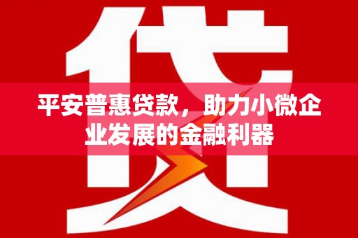 屯门平安普惠贷款，助力小微企业发展的金融利器