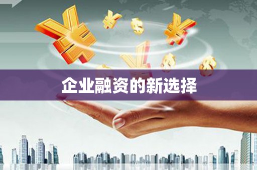 屯门企业融资的新选择