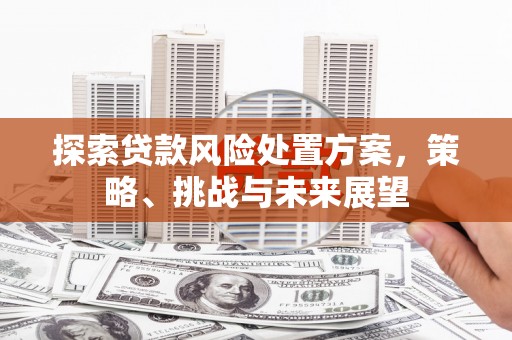 屯门探索贷款风险处置方案，策略、挑战与未来展望