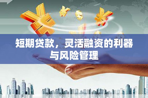 屯门短期贷款，灵活融资的利器与风险管理