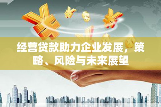屯门经营贷款助力企业发展，策略、风险与未来展望