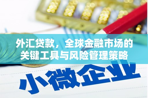 屯门外汇贷款，全球金融市场的关键工具与风险管理策略
