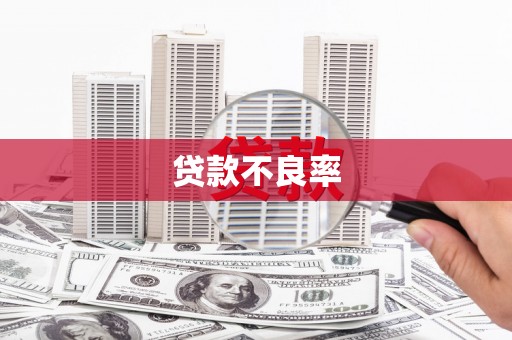 屯门贷款不良率