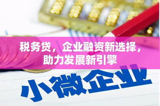 屯门税务贷，企业融资新选择，助力发展新引擎