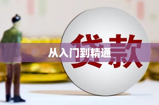 屯门从入门到精通