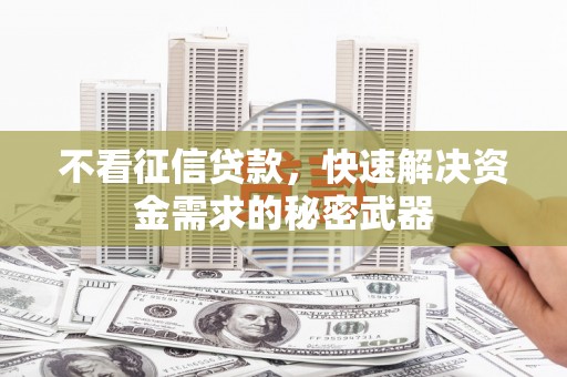 屯门不看征信贷款，快速解决资金需求的秘密武器