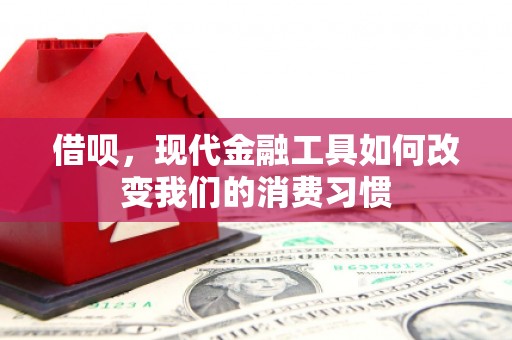 屯门借呗，现代金融工具如何改变我们的消费习惯