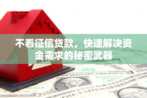 屯门不看征信贷款，快速解决资金需求的秘密武器