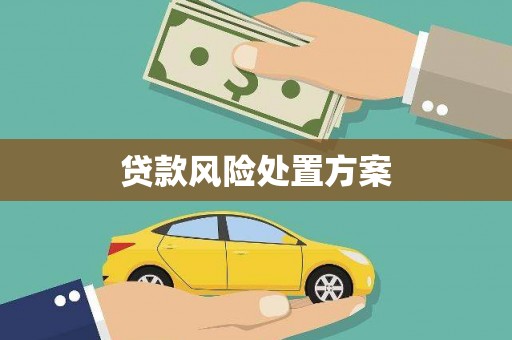 屯门贷款风险处置方案