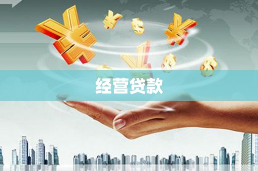 屯门经营贷款