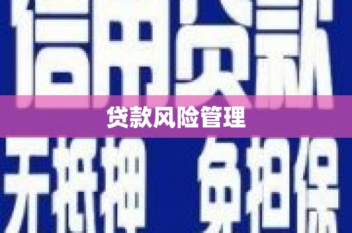 屯门贷款风险管理