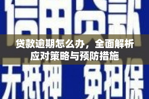 屯门贷款逾期怎么办，全面解析应对策略与预防措施
