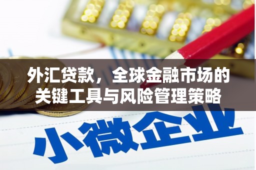 屯门外汇贷款，全球金融市场的关键工具与风险管理策略