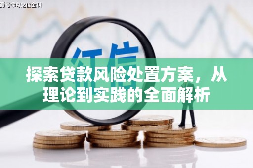 屯门探索贷款风险处置方案，从理论到实践的全面解析