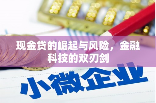 屯门现金贷的崛起与风险，金融科技的双刃剑