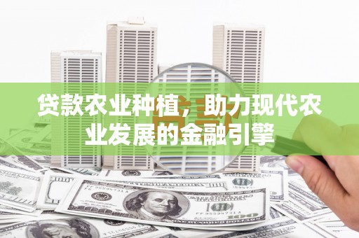 屯门贷款农业种植，助力现代农业发展的金融引擎