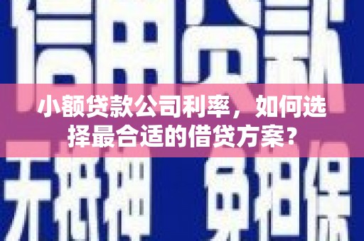 屯门小额贷款公司利率，如何选择最合适的借贷方案？