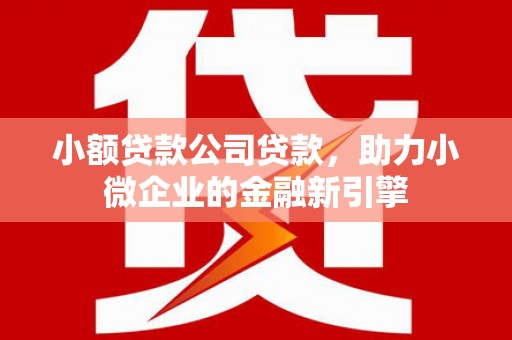 屯门小额贷款公司贷款，助力小微企业的金融新引擎
