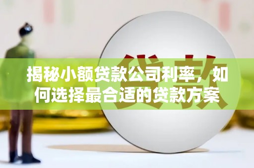 屯门揭秘小额贷款公司利率，如何选择最合适的贷款方案