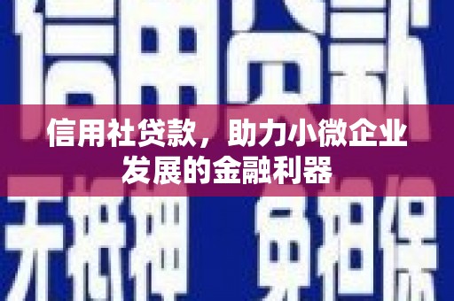 屯门信用社贷款，助力小微企业发展的金融利器