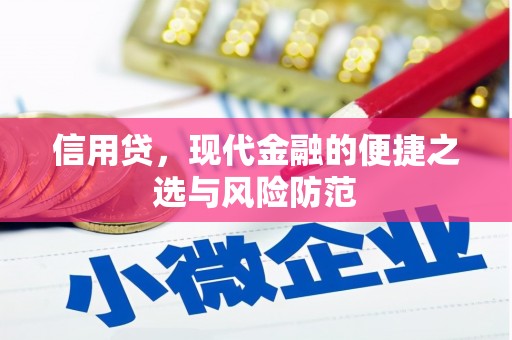 屯门信用贷，现代金融的便捷之选与风险防范