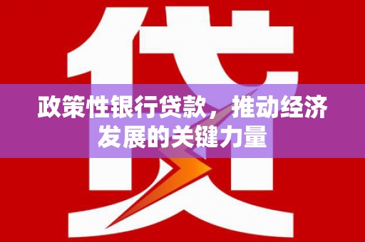 屯门政策性银行贷款，推动经济发展的关键力量