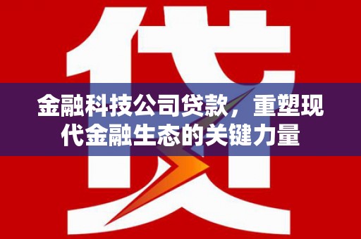 屯门金融科技公司贷款，重塑现代金融生态的关键力量