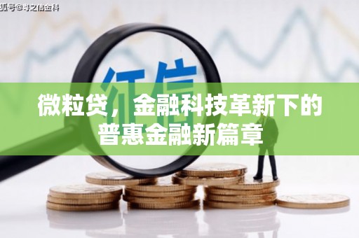 屯门微粒贷，金融科技革新下的普惠金融新篇章