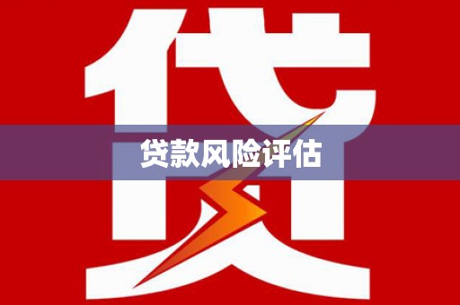 屯门贷款风险评估