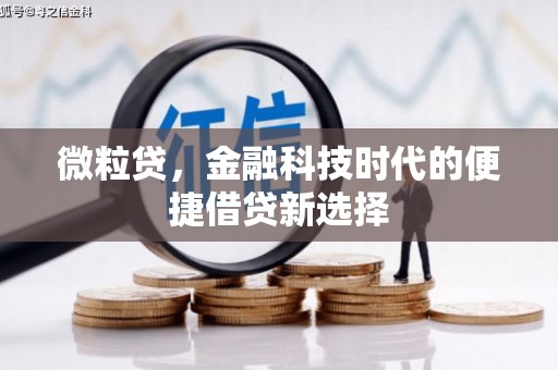 屯门微粒贷，金融科技时代的便捷借贷新选择
