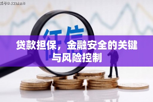 屯门贷款担保，金融安全的关键与风险控制