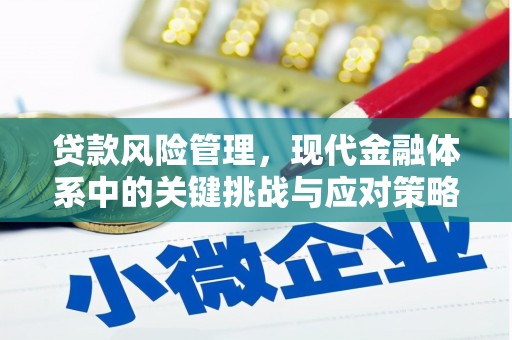 屯门贷款风险管理，现代金融体系中的关键挑战与应对策略