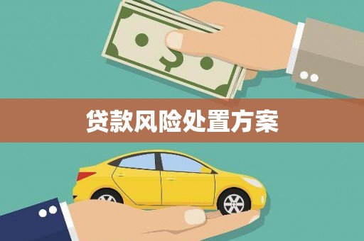 屯门贷款风险处置方案