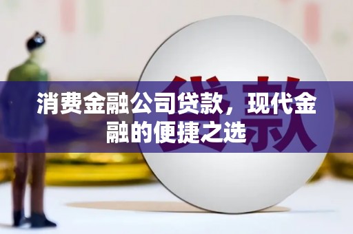 屯门消费金融公司贷款，现代金融的便捷之选