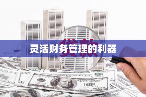 屯门灵活财务管理的利器