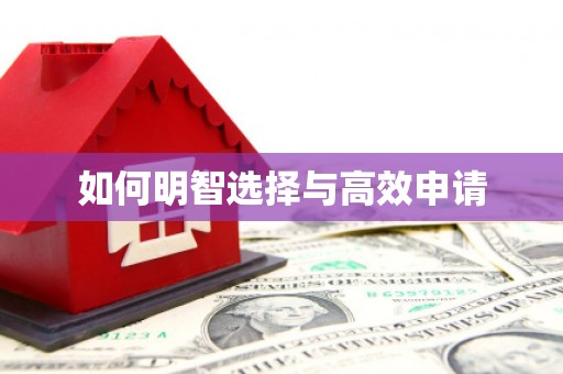 屯门如何明智选择与高效申请