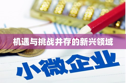 屯门机遇与挑战并存的新兴领域