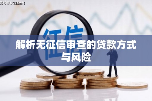 屯门解析无征信审查的贷款方式与风险