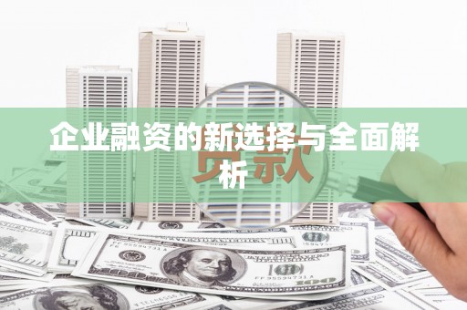 屯门企业融资的新选择与全面解析